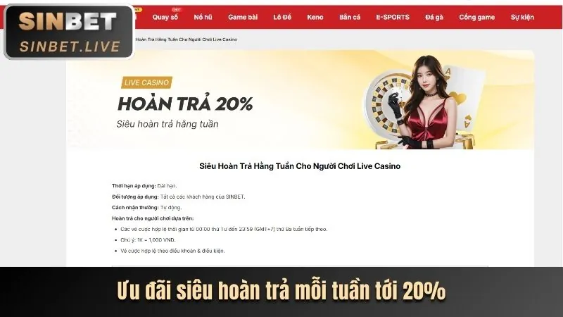 Các chương trình khuyến mãi hấp dẫn của Rik Vip